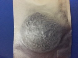 Identify-These-Three-Coins-Please